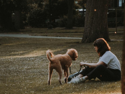 Dog and woman in park