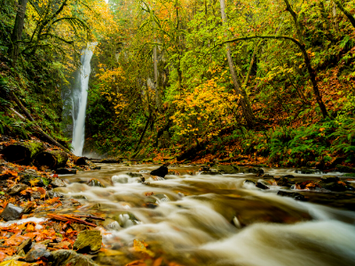 River and waterfall in autumn forest with waterfall