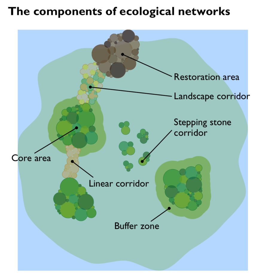 The components of ecological networks graphic