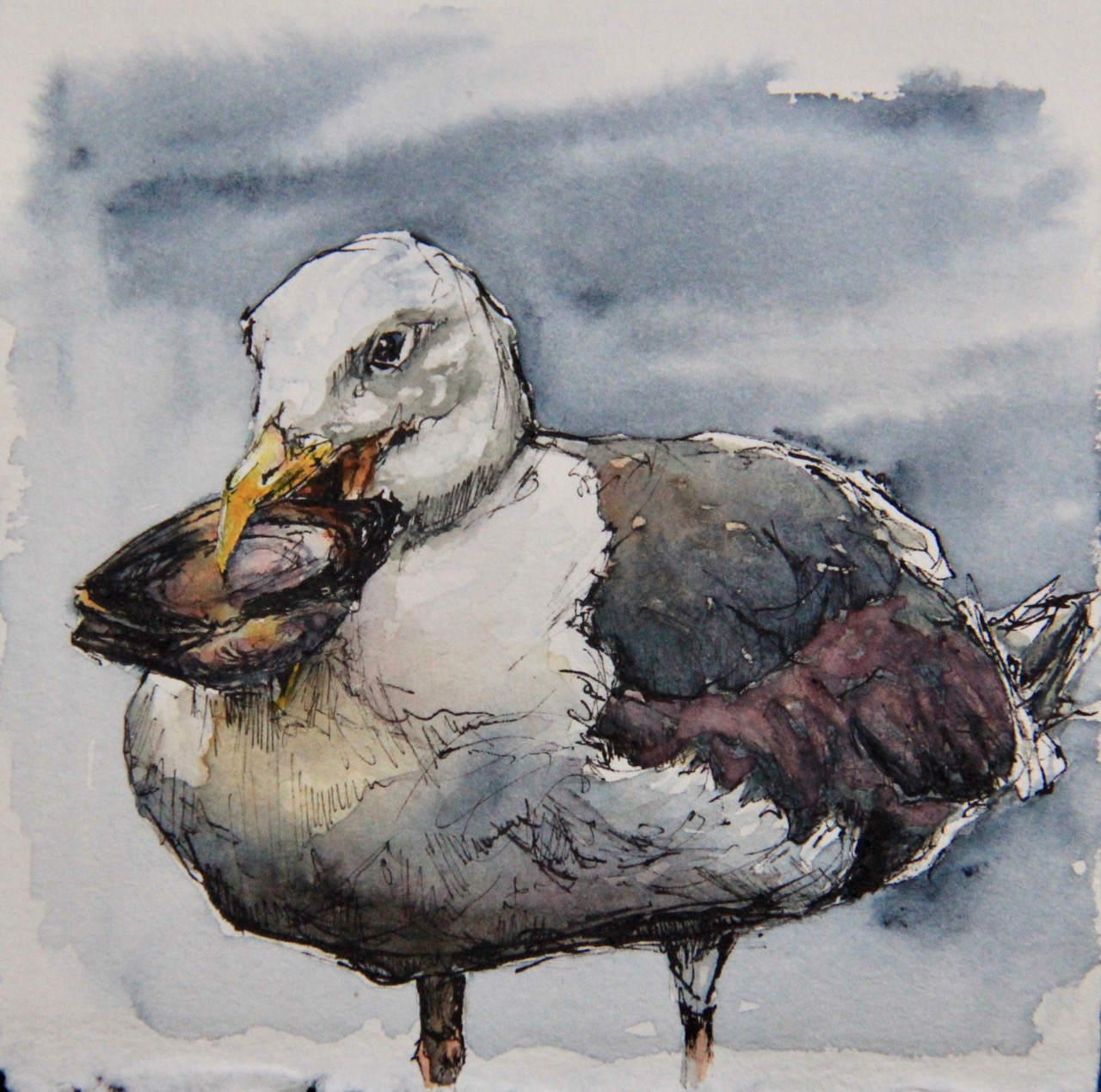 Painting of seagull holding clam by Leanne Cadden
