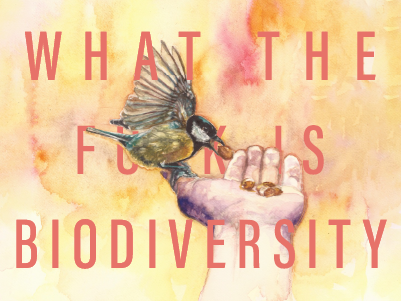 What the f**k is biodiversity podcast artwork with bird in hand