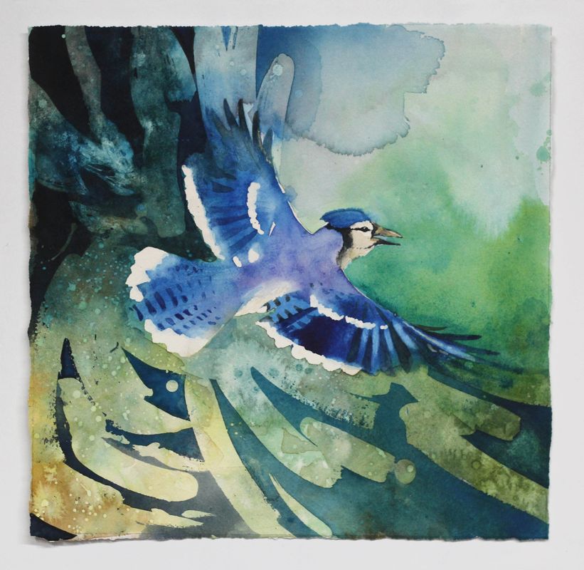 Blue jay in flight painting