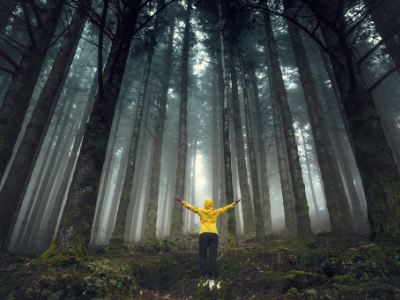 Person in yellow jacket in forest
