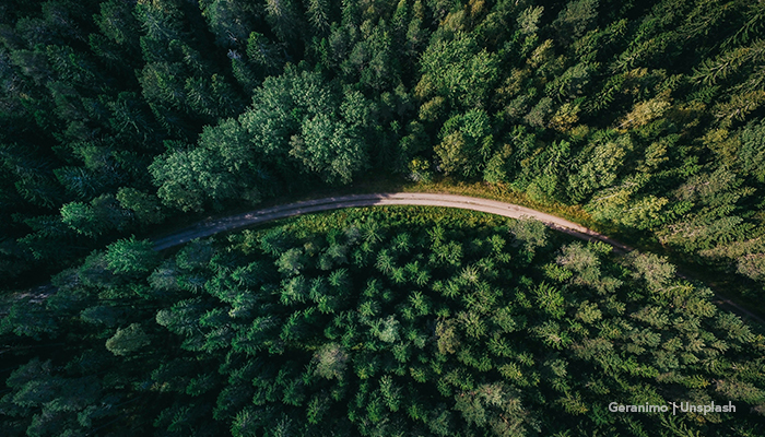 geranimo-qzgN45hseN0-unsplash-700-400