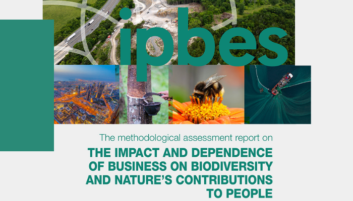 IPBES Business report cover - 700-400
