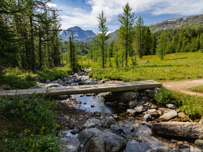 nils-geldner-nZf1_8WPIQk-unsplash-300-400