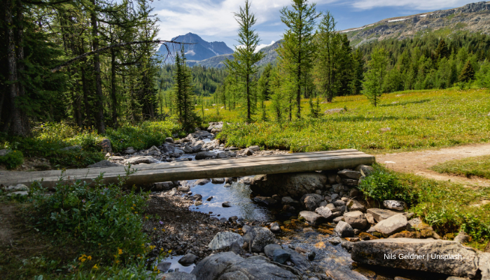 nils-geldner-nZf1_8WPIQk-unsplash-700-400 (1)