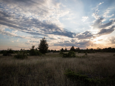 Napanee Plain Alvar Nature Reserve, ON