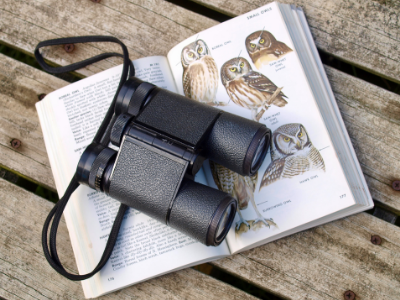 Birding binoculars on owl book